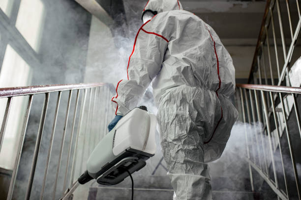 Best Emergency Mold Remediation  in Sedro Woolley, WA